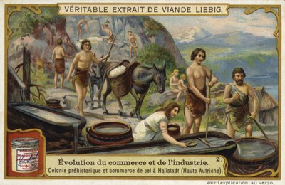 Colonie de commerce de sel préhistorique, Hallstatt, Haute-Autriche - European School